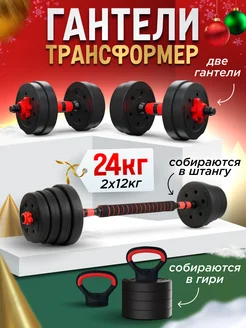 Гантели разборные 24 кг спортивный набор штанга и гиря FitnessActive 184520337 купить за 2 630 ₽ в интернет-магазине Wildberries