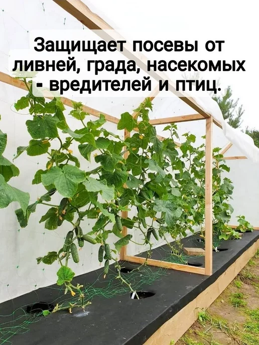 AgroMakHaus Спанбонд белый 80 3.2х5м для клубники от сорняков, 5 м, белый, фото 5