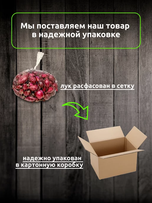 репка и зелень Лук севок для посадки Кармен 0.5 кг, 500 г, фото 3