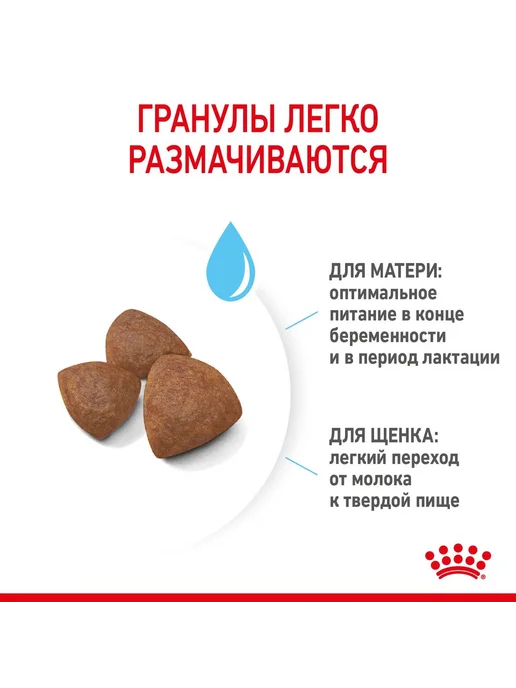 Сухой корм Royal canin Starter Mother для собак, средние, щенки, 4 кг, фото 2