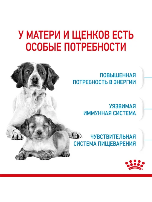 Сухой корм Royal canin Starter Mother для собак, средние, щенки, 4 кг, фото 4