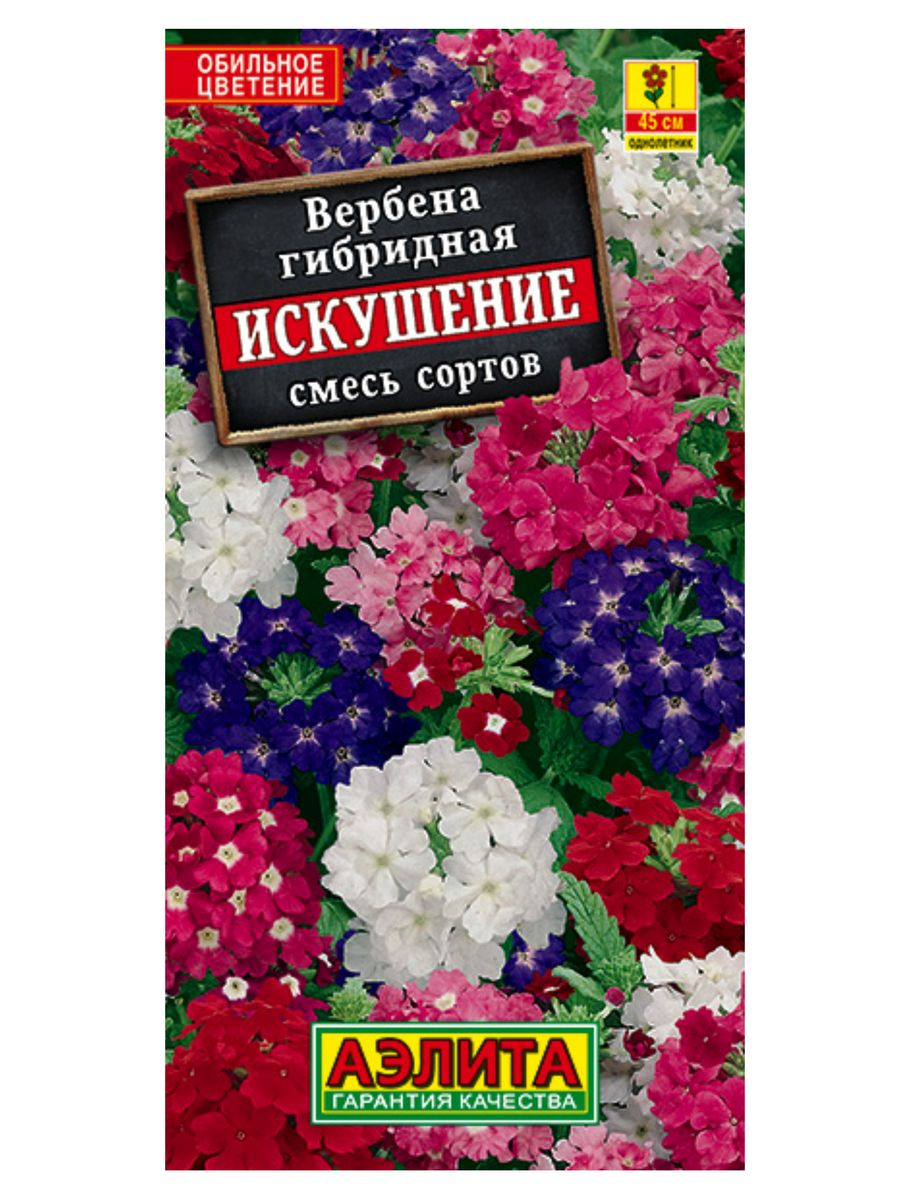 Вербена гибридная Искушение, ампельные цветы, семена 40 шт Агрофирма Аэлита  184989831 купить за 114 ₽ в интернет-магазине Wildberries