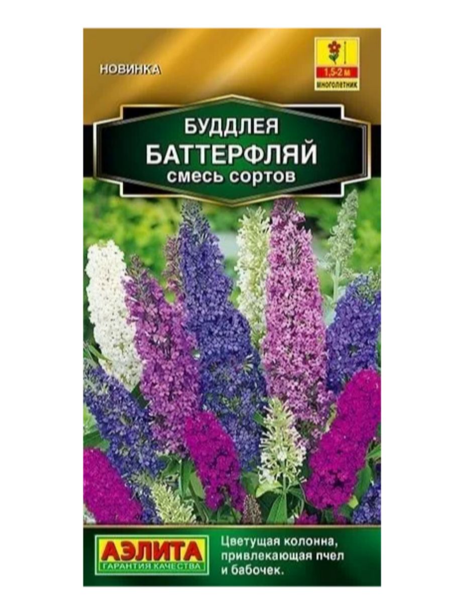 Смесь баттерфляй. Лофант тибетский анисовый. Семена лофант анисовый. Буддлея Давида семена. Цветы будлея Давида смесь.