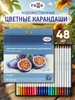 Карандаши цветные для рисования мягкие 48 цветов Гамма 185021244 купить за 733 ₽ в интернет‑магазине Wildberries