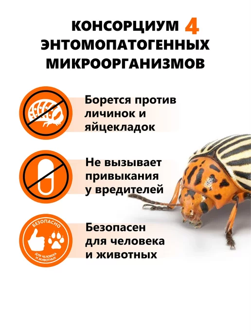 Аптека доктора Котлярова Агробиовит Смержук против колорадского жука, 3 шт, 3 шт, фото 2