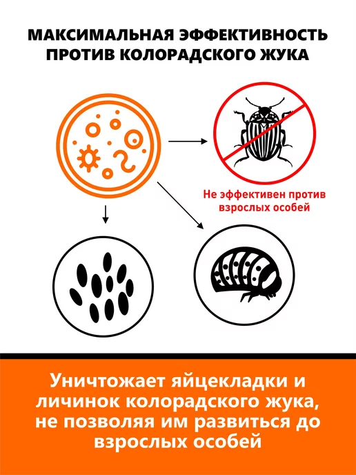 Аптека доктора Котлярова Агробиовит Смержук против колорадского жука, 3 шт, 3 шт, фото 3