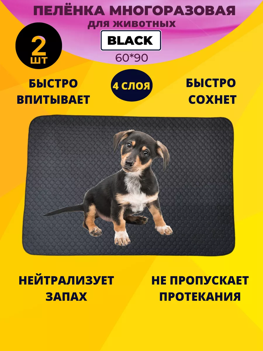 рентген собаки порно 