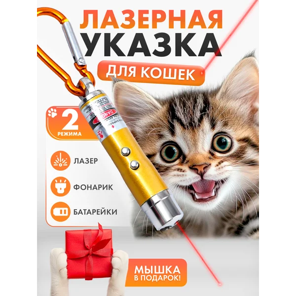 Лазерная указка игрушка для кошек и собак