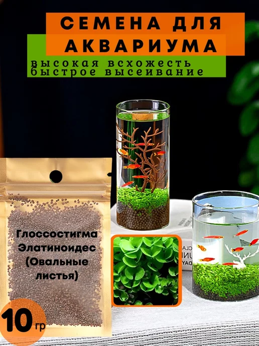 Logo brand Семена растений для аквариума "Glossostigma elatinoides"