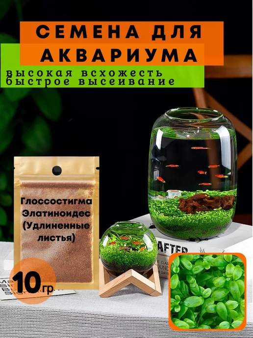 Logo brand Семена растений для аквариума "Glossostigma elatinoides"