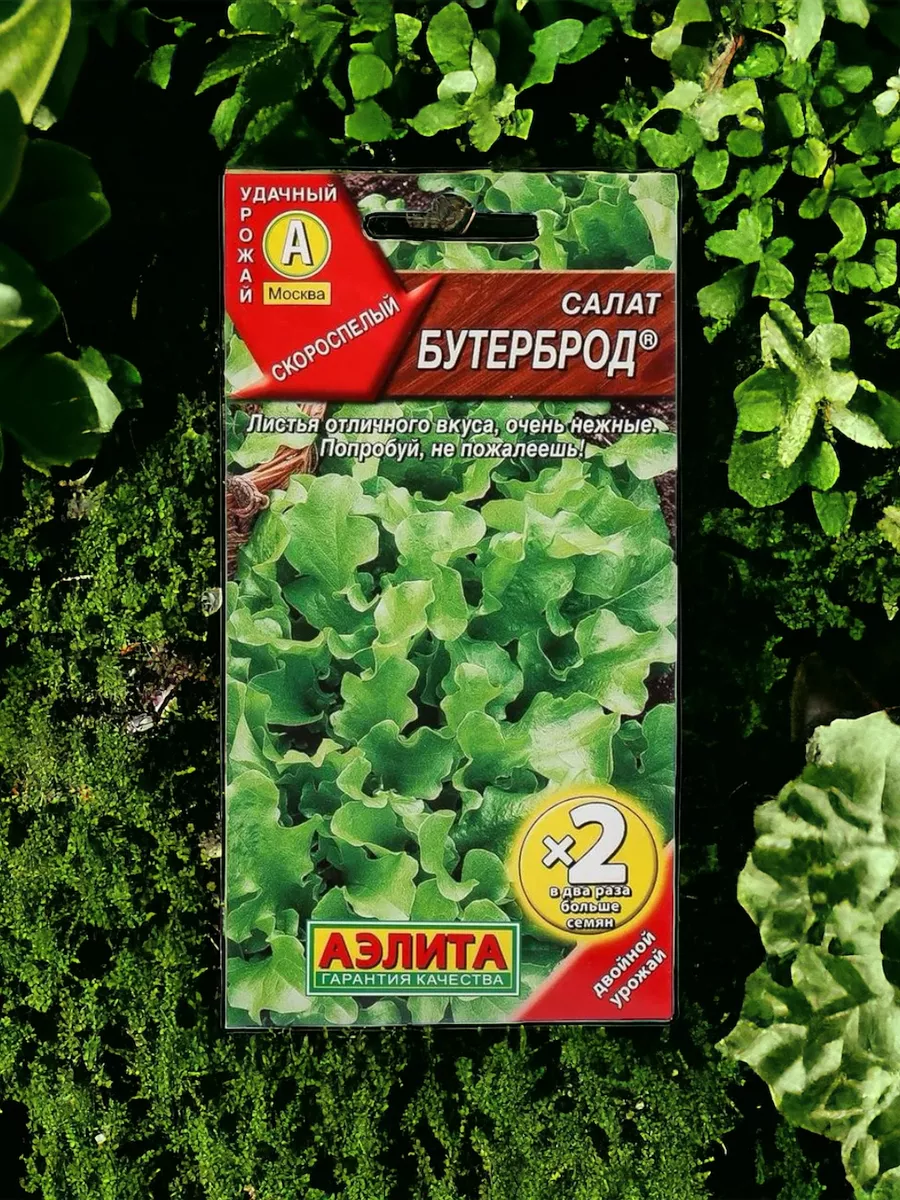 Салат листовой Бутерброд (семена)