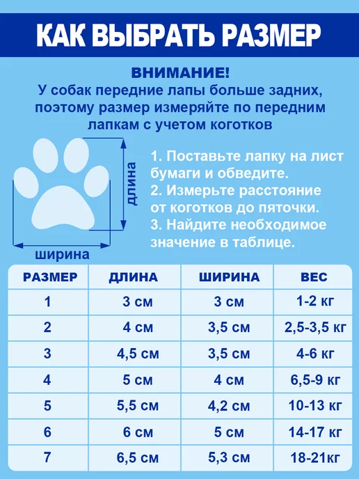 DOGушка Обувь для собак мелких средних пород, голубой, фото 3