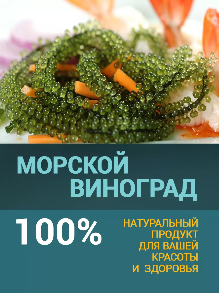 Морской виноград пищевой Уми Будо 5*20 гр GREEN_FOOD 185441178 купить за  793 ₽ в интернет-магазине Wildberries