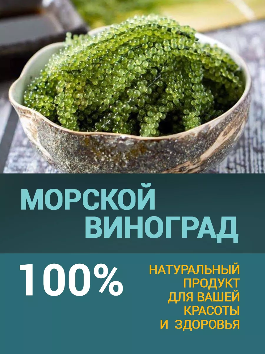 Морской виноград пищевой Уми Будо 100 гр GREEN_FOOD 185441179 купить за 663  ₽ в интернет-магазине Wildberries