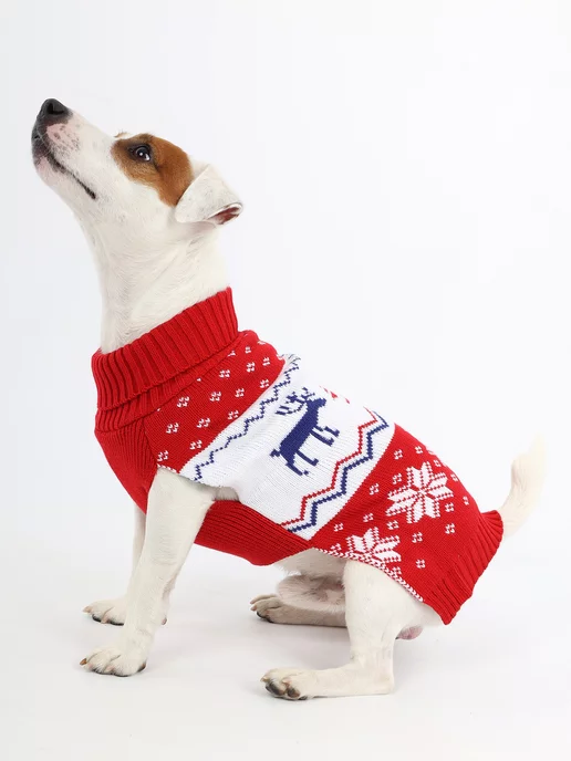 Каталог — Интернет-магазин одежды для собак Zoostyle | Каталог, Одежда для собак, Магазины одежды
