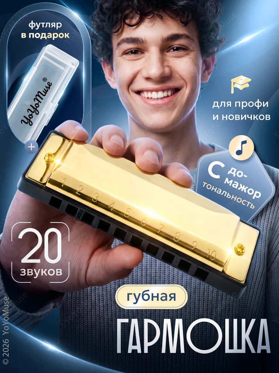 Губная гармошка С, диатоническая музыкальная гармонь
