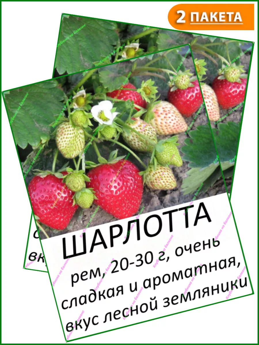 Шарлотта двойной Клубника на балконе 185499550 купить в интернет-магазине  Wildberries