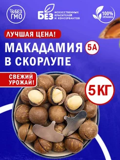 Макадамия в скорлупе отборный 5 кг ABCNUTS 185524312 купить за 3 278 ₽ в интернет-магазине Wildberries