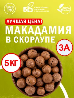 Макадамия в скорлупе отборный 5 кг. Свежий урожай ABCNUTS 185537708 купить за 2 914 ₽ в интернет-магазине Wildberries