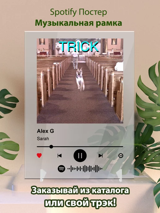 Arthata-spotify постер Спотифай постер Постер Alex g картина. Карточки Alex g - Sarah