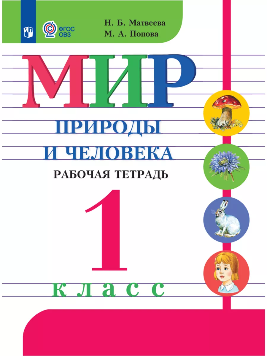 Мир природы и человека.1 кл. Раб.тет.(обуч. с инт. нар.)