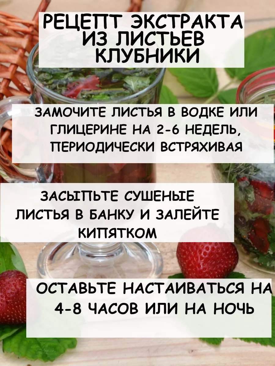 Листья клубники Дерево Любви 185819350 купить за 264 ₽ в интернет-магазине  Wildberries