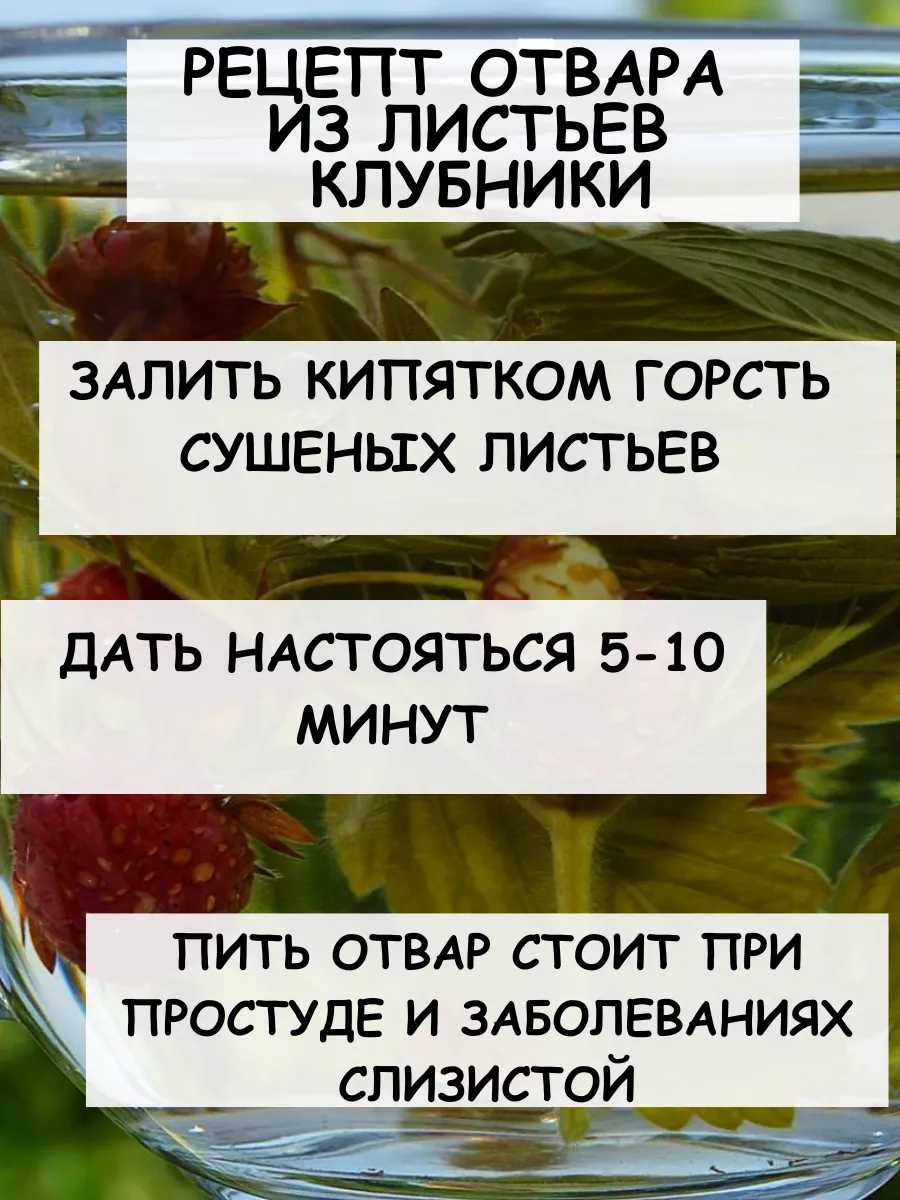 Листья клубники Дерево Любви 185819350 купить за 264 ₽ в интернет-магазине  Wildberries