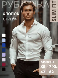 Рубашка классическая приталенная с длинным рукавом MIXЕRS SHIRT 185860931 купить за 1 672 ₽ в интернет-магазине Wildberries