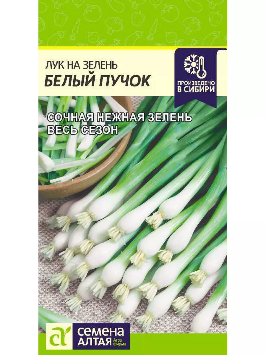 Семена Лук на зелень Белый Пучок Семена Алтая 185915411 купить за 96 ₽ в  интернет-магазине Wildberries