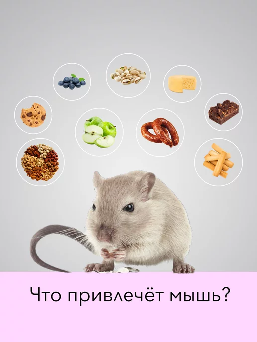 Планета Садовод Мышеловка для мышей пластиковая 10 шт, 10 шт, фото 5