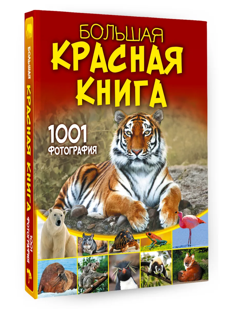 Большая красная книга. 1001 фотография Издательство АСТ 186111794 купить за  1 669 ₽ в интернет-магазине Wildberries