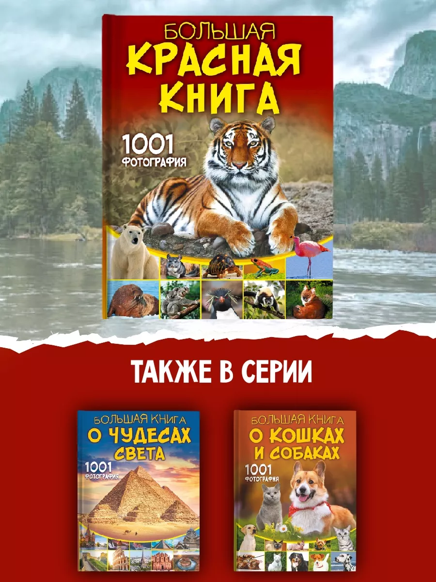 Большая красная книга. 1001 фотография Издательство АСТ 186111794 купить за  1 650 ₽ в интернет-магазине Wildberries