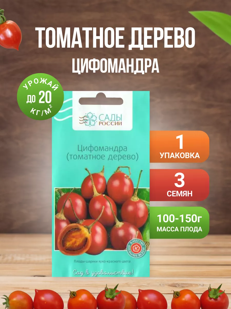 Цифомандра Антарес (томатное дерево) 3 шт. САДЫ РОССИИ 186563316 купить за  409 ₽ в интернет-магазине Wildberries