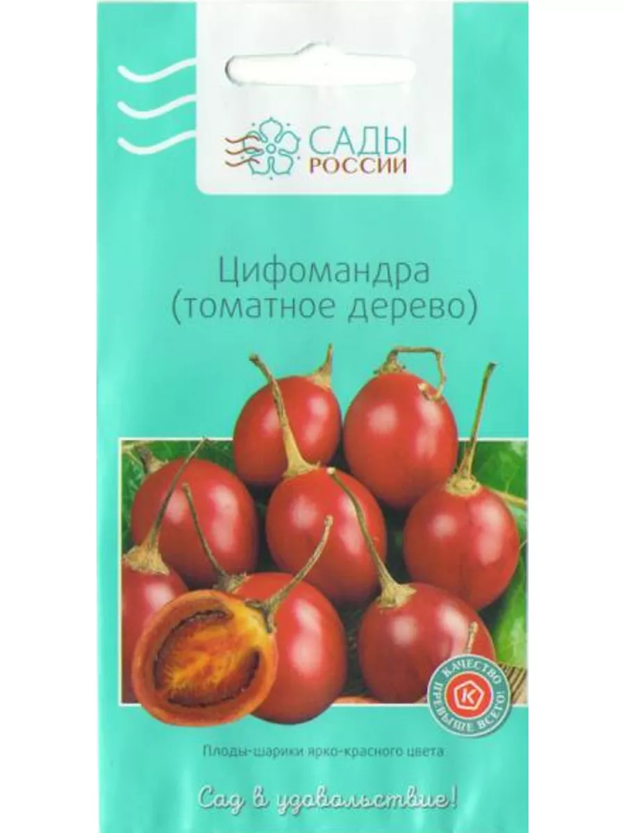 Цифомандра Антарес (томатное дерево) 3 шт. САДЫ РОССИИ 186563316 купить за  409 ₽ в интернет-магазине Wildberries