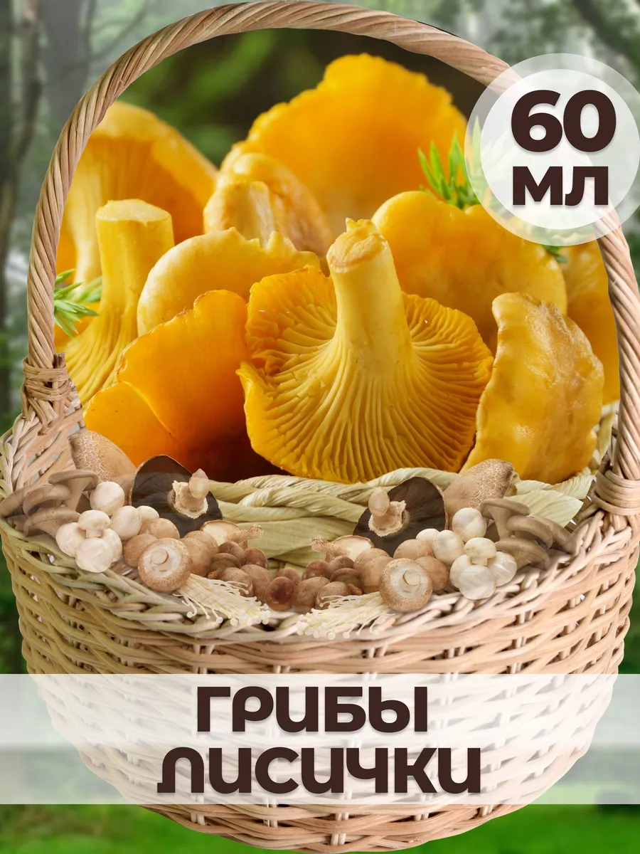 Лисички для выращивания