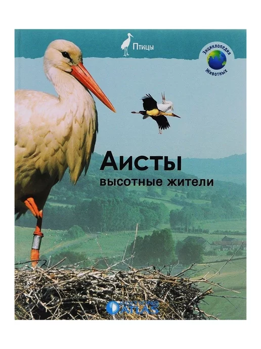 Садовая фигура аист: как сделать своими руками для сада, мастер-класс по фигурке гнезда и аистенка