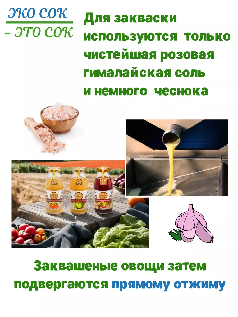 Сок из квашеной свеклы и сельдерея, 200 мл. упаковка 6 шт Эко сок - Это сок  186715200 купить в интернет-магазине Wildberries