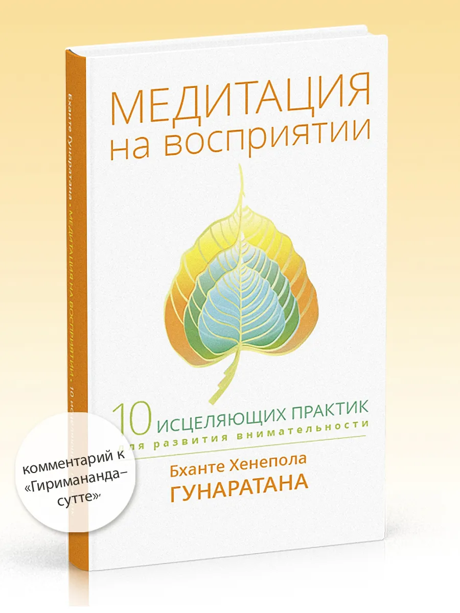 Медитация на восприятии. Десять исцеляющих практик