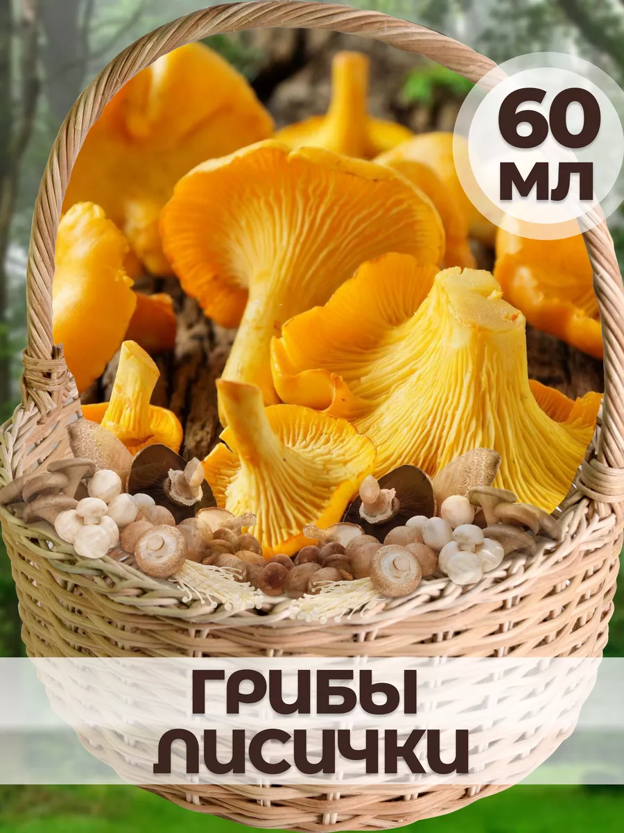 Мицелий Лисичек