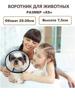 Воротник для собак и кошек на липучке Vet Protection №1 7,5см 186806659 купить за 155 ₽ в интернет-магазине Wildberries