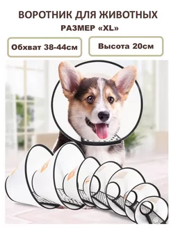 Воротник для собак и кошек на липучке Vet Protection №1 20см 186810573 купить за 288 ₽ в интернет-магазине Wildberries