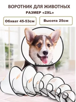 Воротник для собак и кошек на липучке Vet Protection №1 25см 186812561 купить за 347 ₽ в интернет-магазине Wildberries