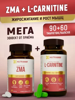 l-carnitine and zma ZMA Capsules | Zinc, Magnesium