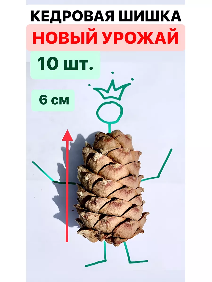 Сибирские Кедры Продукция Купить В Москве