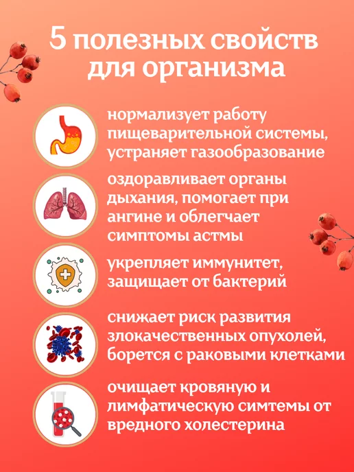 Тайга22 Красная рябина сушеная ягода без сахара 300 грамм, красный, фото 2