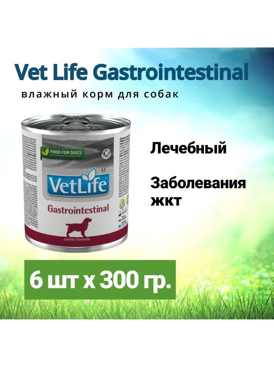 Фармина гастро Интестинал для собак консервы. Vet Life Gastrointestinal корм для собак влажный. Корм Farmina Gastrointestinal для собак. Консервы Фармина для собак.