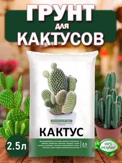 Грунт для кактуса 2,5 л Нов-Агро 186991445 купить за 135 ₽ в интернет-магазине Wildberries