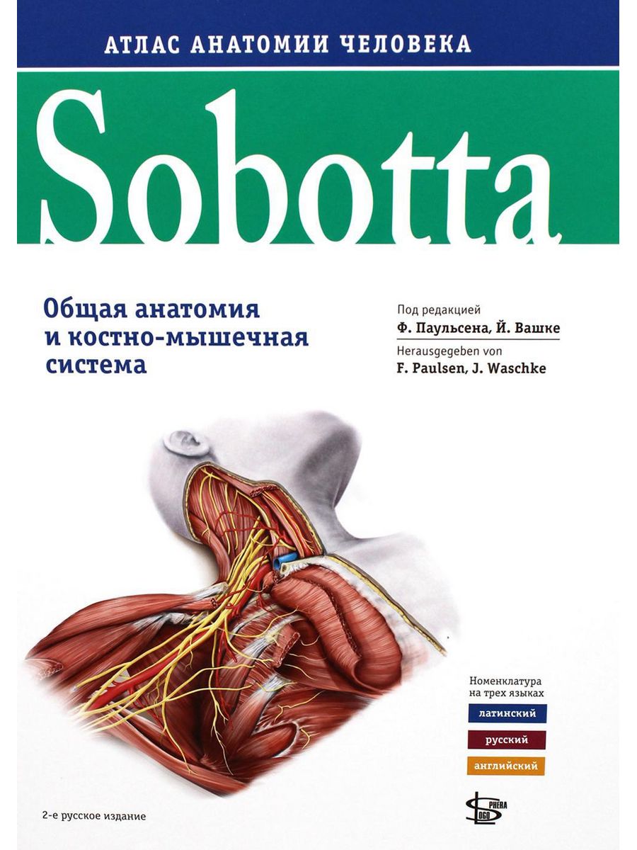 Ан основном. Атлас анатомия человека редакция Паульсена Соботта. Атлас по анатомии Sobotta. Анатомический атлас Sobotta 1 том. Sobotta. Атлас анатомии человека том 3, изд.2.