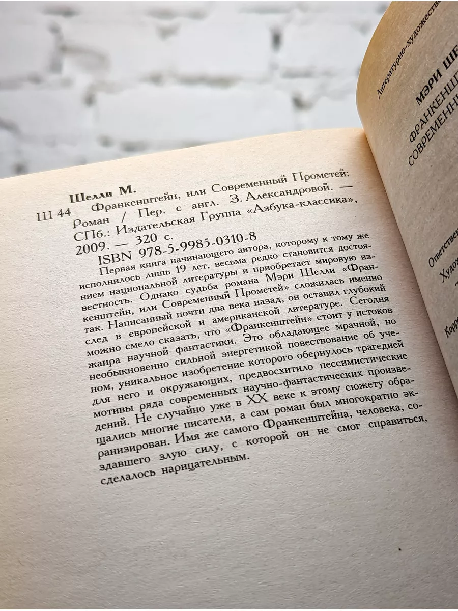 Франкенштейн, или Современный Прометей: роман Азбука-классика 187064017  купить в интернет-магазине Wildberries