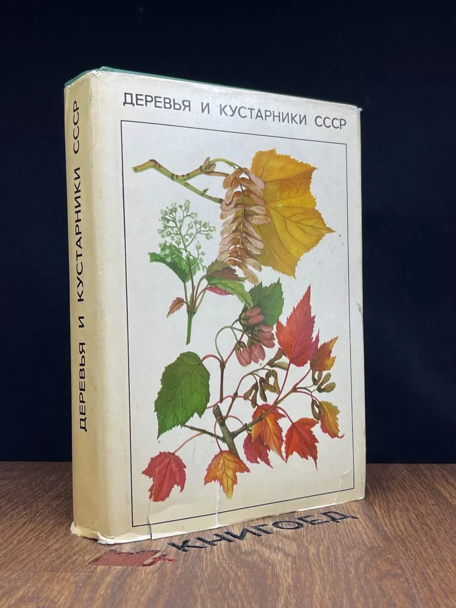 Деревья и кустарники СССР Мысль 187275154 купить в интернет-магазине  Wildberries